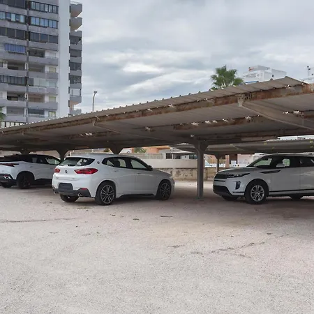 Flamingo * Tavernes de Valldigna